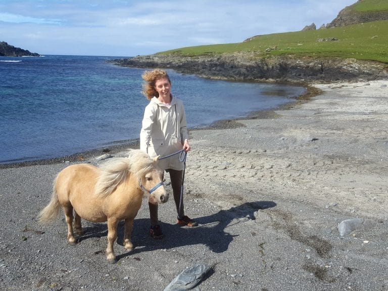 Where to meet Shetland Ponies in Scotland – the Shetland Pony Experience
